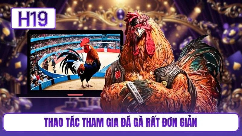 Thao tác tham gia đá gà rất đơn giản