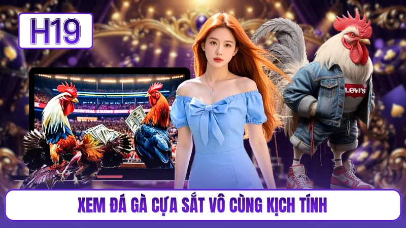 Xem đá gà cựa sắt vô cùng kịch tính