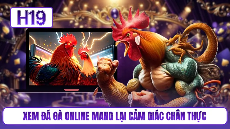Xem đá gà online mang lại cảm giác chân thực